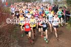 Senior mens 2016 Inter Counties Cross Country Champs. and Cross Challenge Final, Cofton Park, Birmingham. Photo: David T. Hewitson/Sports for All Pics